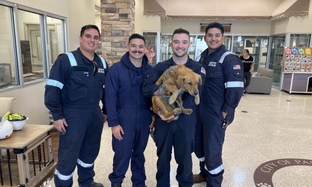 Dog Gets Rescued By Coast Guard After Surviving In a Shipping Container For 8 Days With No Food