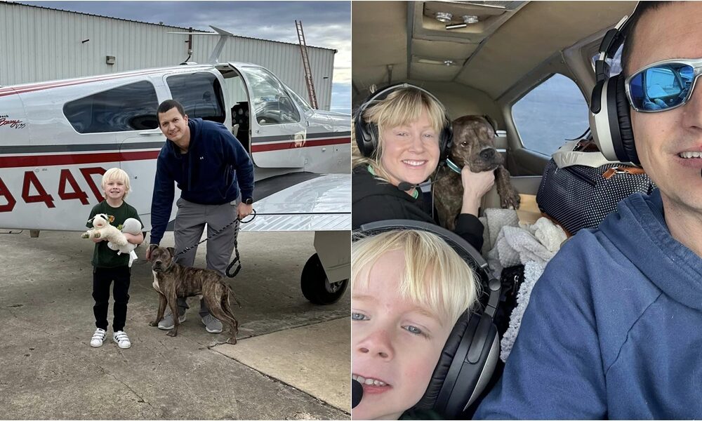 Dog Set To Be Put Down Finds Forever Home Hundreds Of Miles Away, Thanks To A Pilot And Stranger