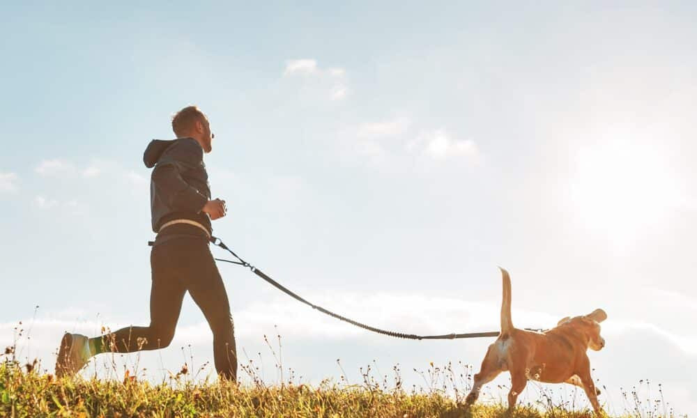 Fitness App Strava Partners With Fi Collar To Help Track Your Dog's Fitness