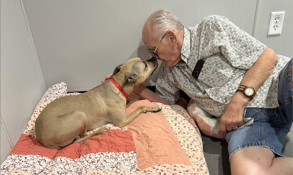 Shy Dog From Florida Shelter Finds The 'Perfect Couple' Just In Time For Valentine's Day