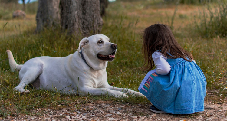 Dog Playing with kids