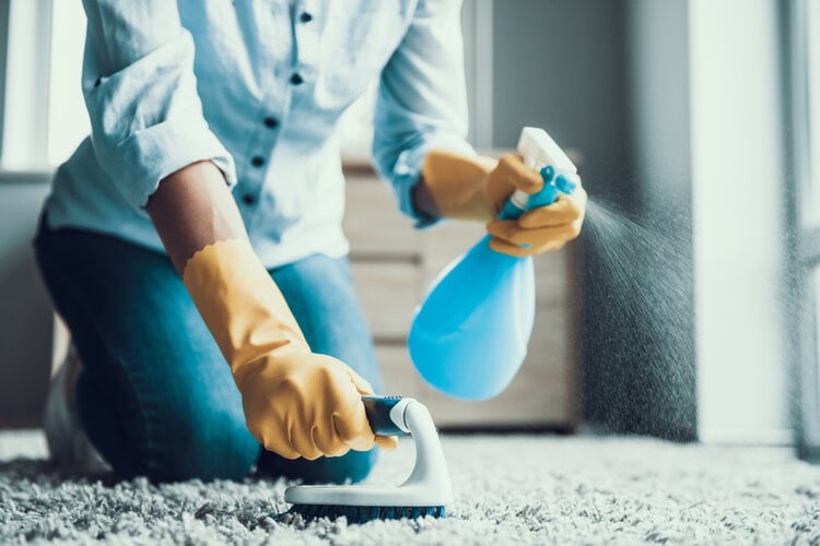 cleaning carpet with spray and brush