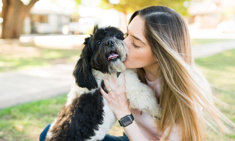 9 Best Breeds For First-Time Dog Owners