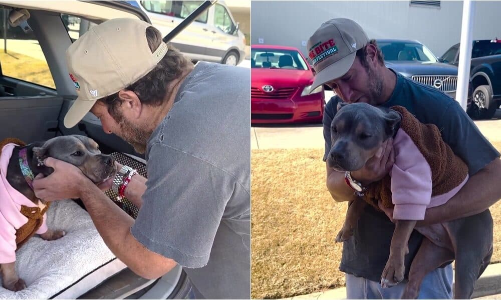 Dave Portnoy's Rescue Dog Goes Viral, Uses Platform To Raise Money For An Animal Rescue