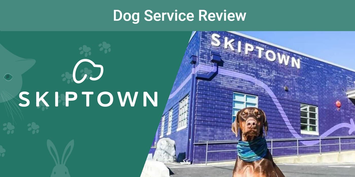 PK_SAPR_Skiptown Dog Bar & Park