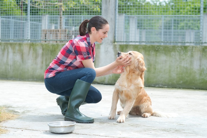 shelter volunteer feeding the dogs