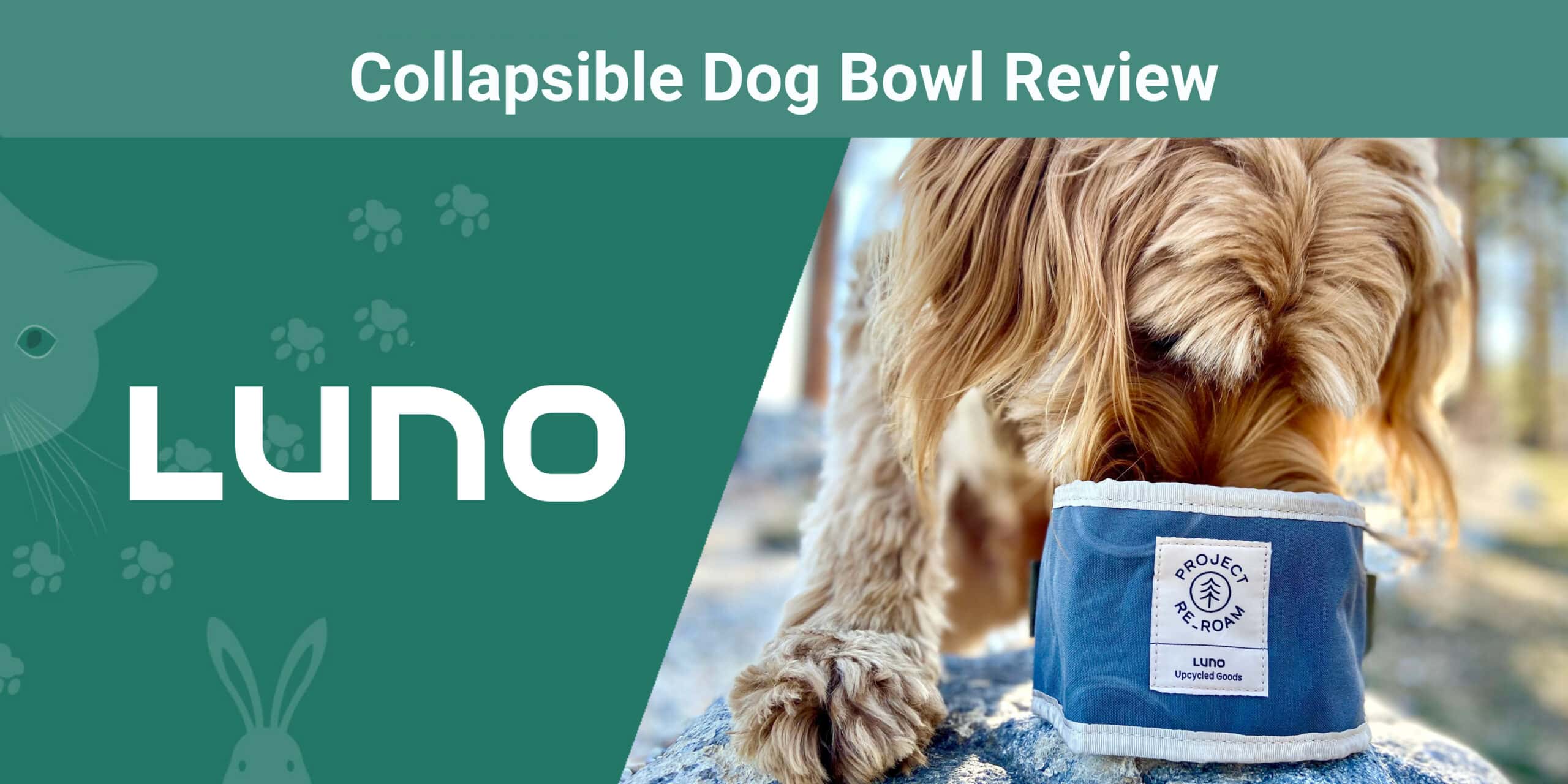 Luno Collapsible Dog Bowl Review 2024: Our Expert’s Opinion