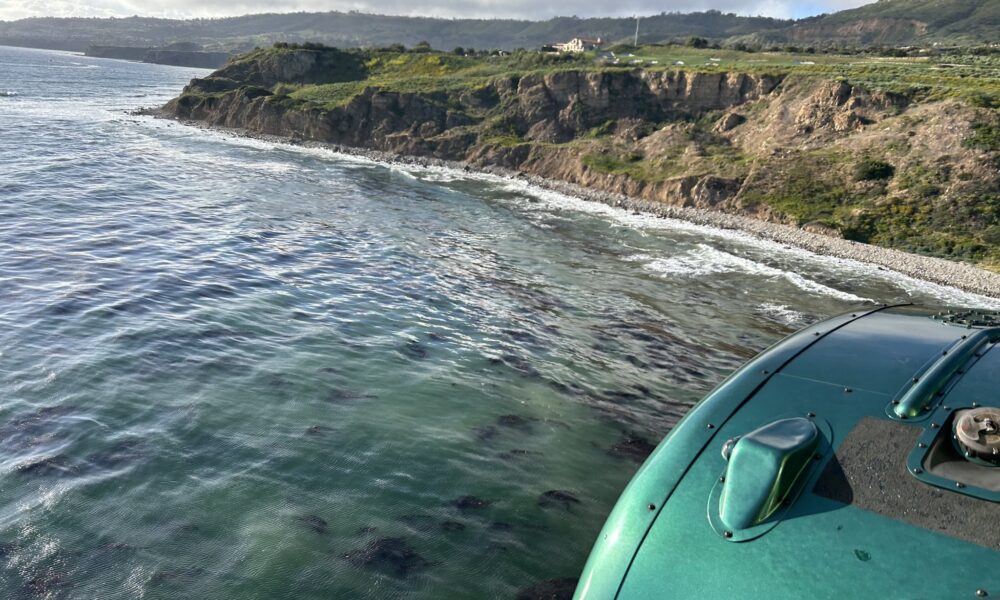 Pilot and His Dog Swims To Safety After Surviving A Plane Crash