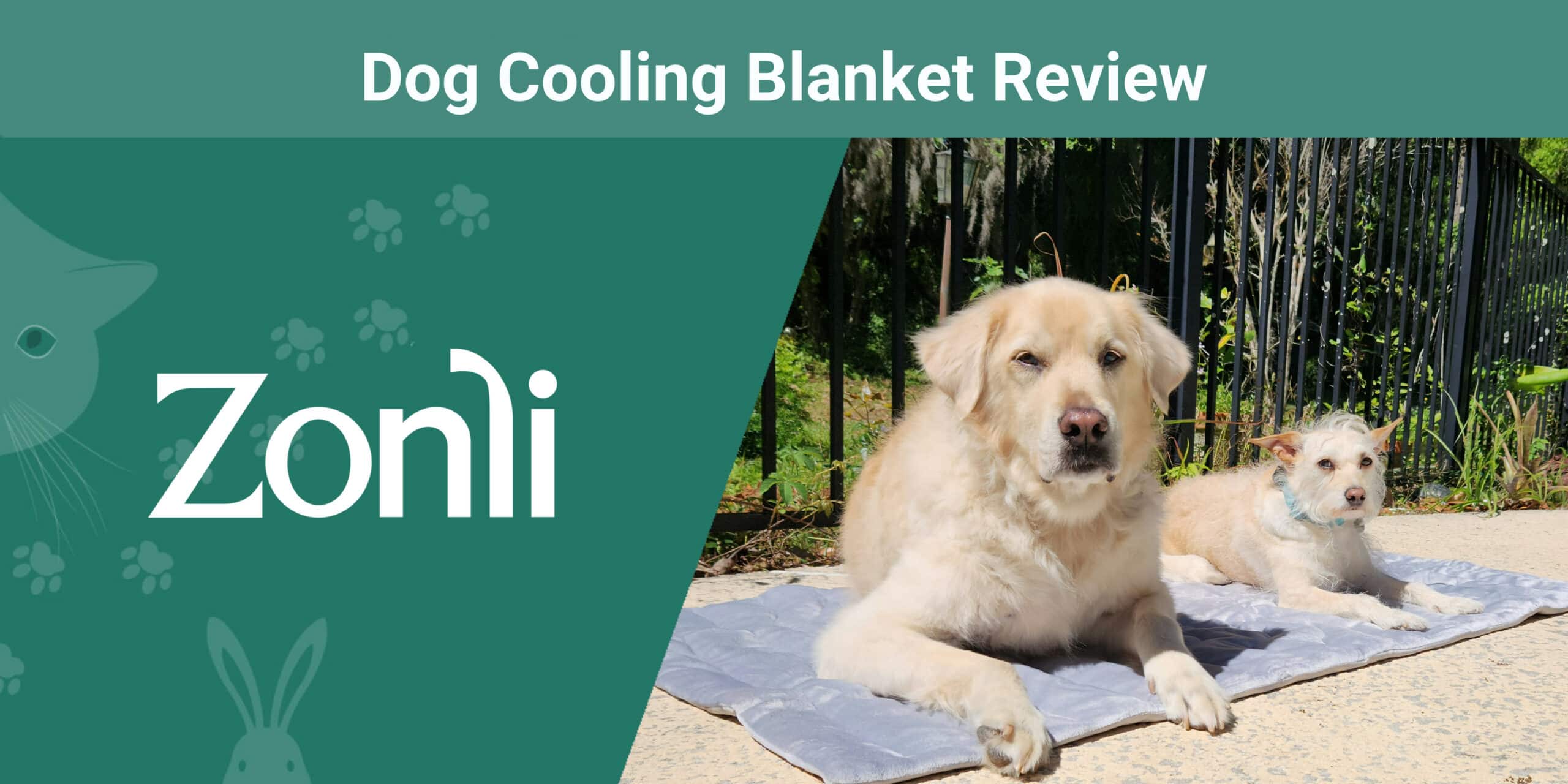 Zonli Pet Cooling Mat Review 2024: Our Expert’s Opinion