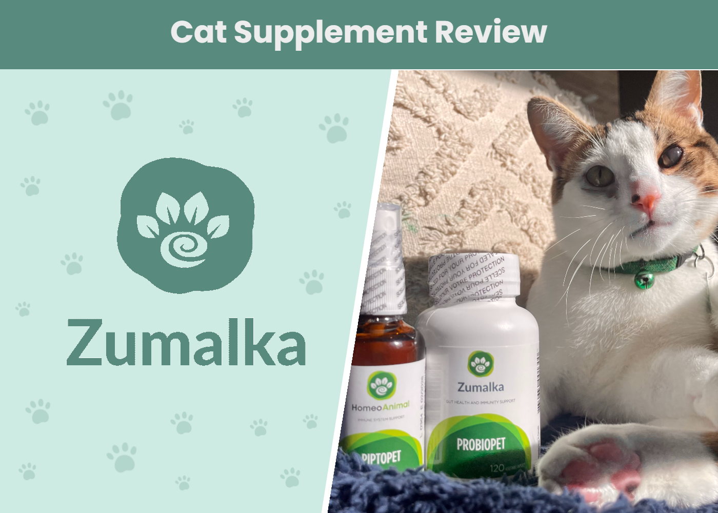 Zumalka Cat Supplements Ft Img