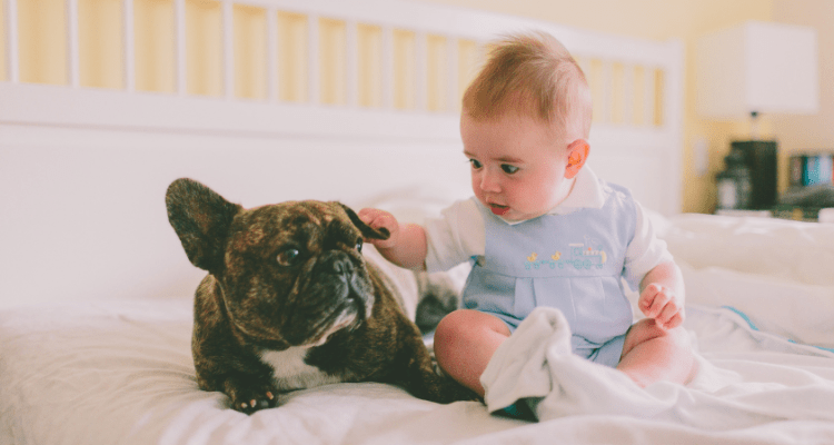 New Born Baby With Pets