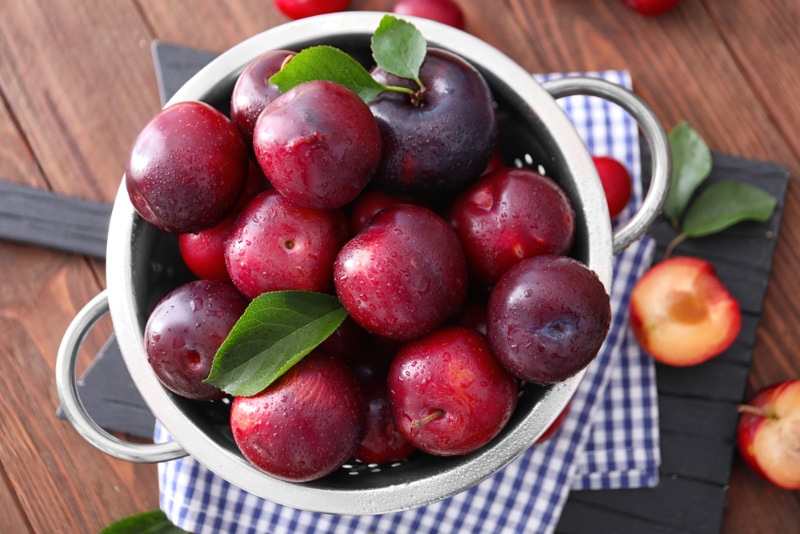 colander with ripe juicy plums on table