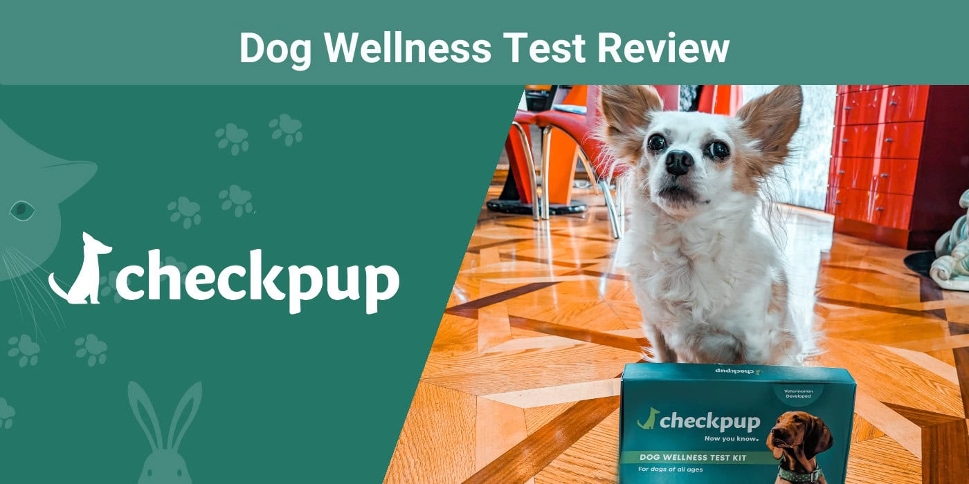 PK_Checkpup_Dog Wellness Test