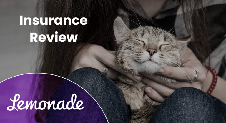 Catster_SAPR_Lemonade Insurance Review