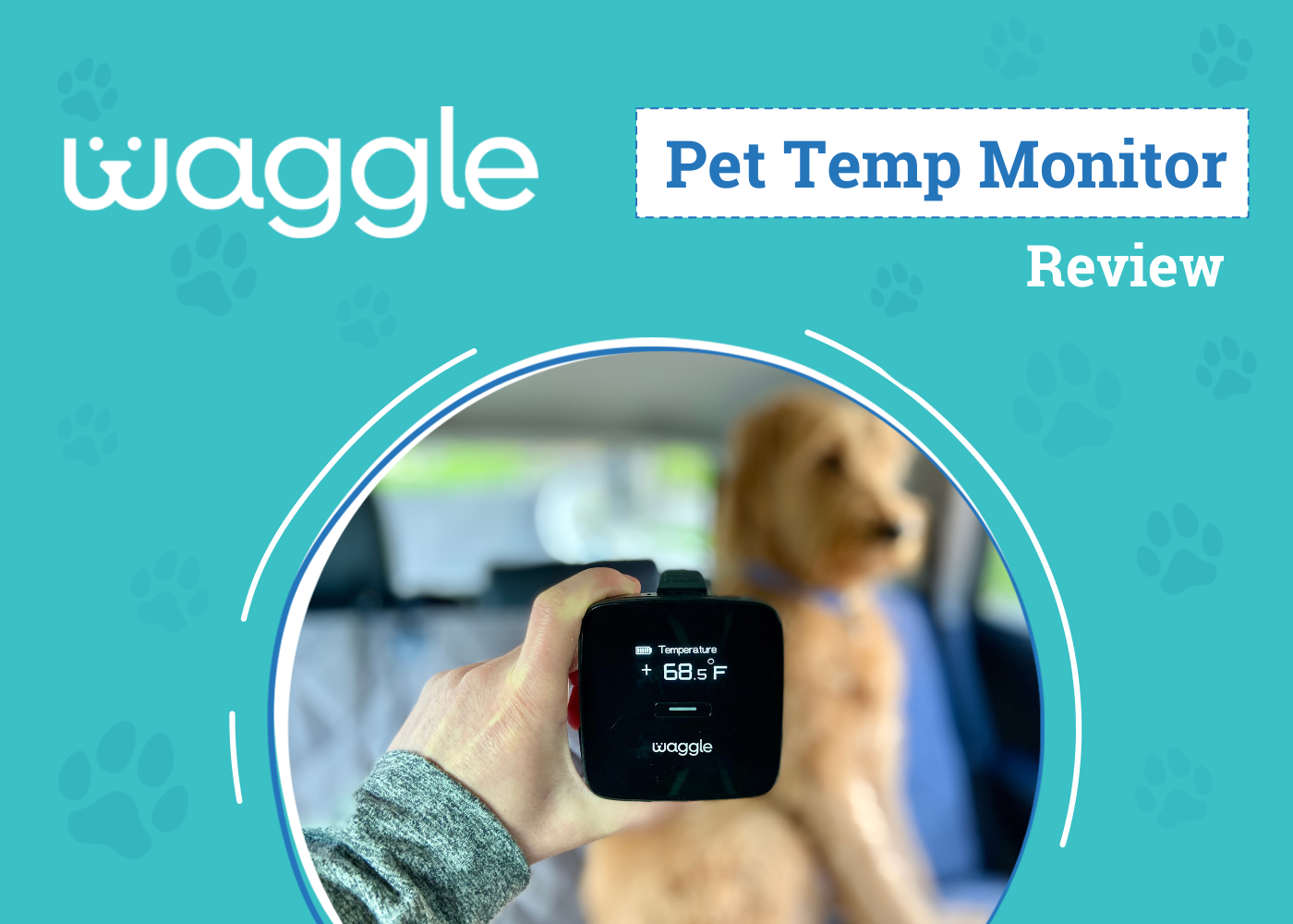 Waggle Pet Temperature Monitor