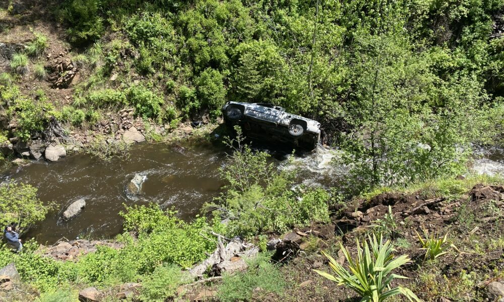 Hero Dog Travels 4 Miles To Get Help For Owner Who Got Into Car Crash