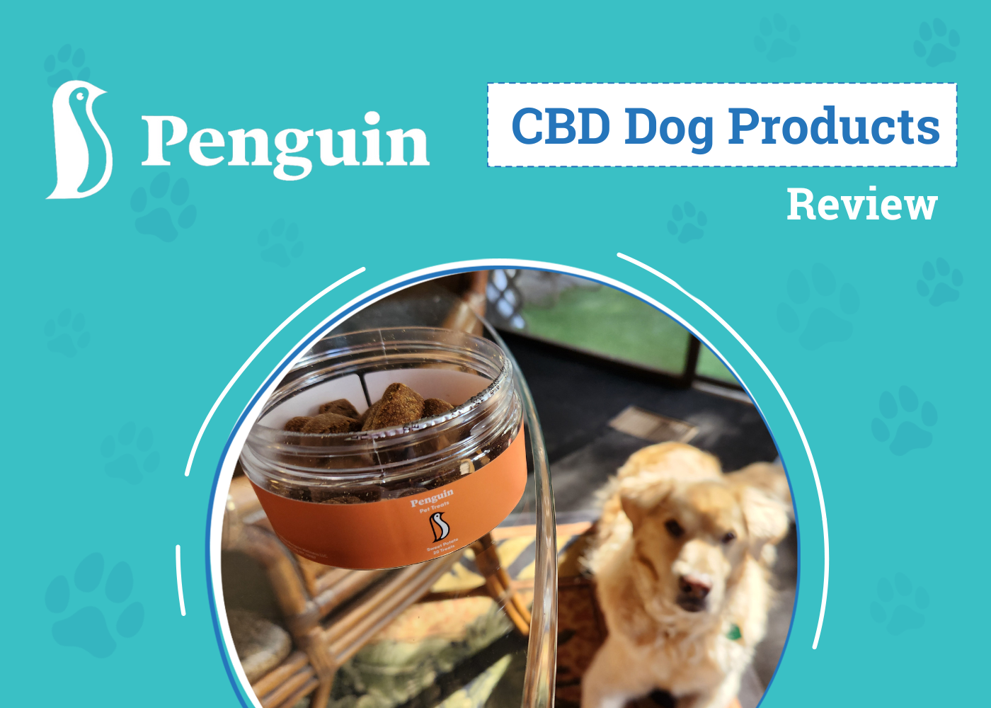 Penguin CBD Dog Products