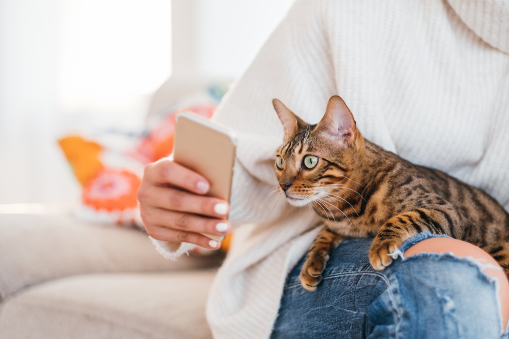 woman holding out her phone to a cat