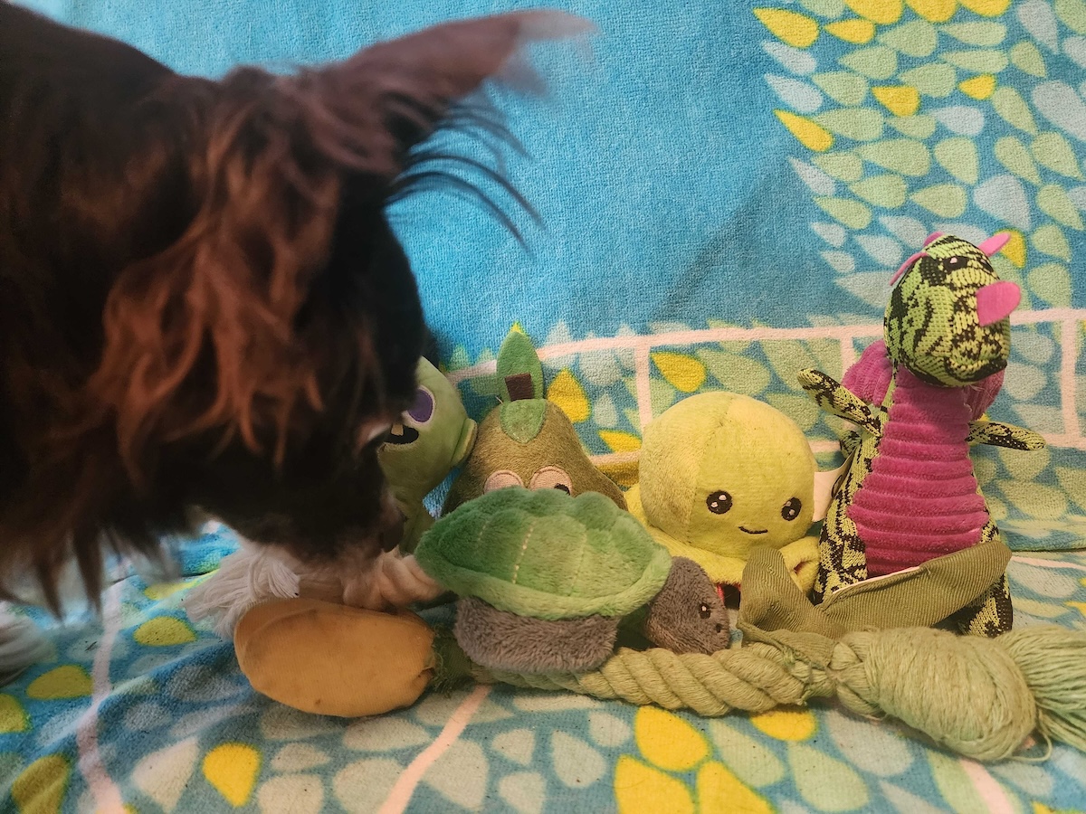 A small sampling of Penny's favorite green toys.