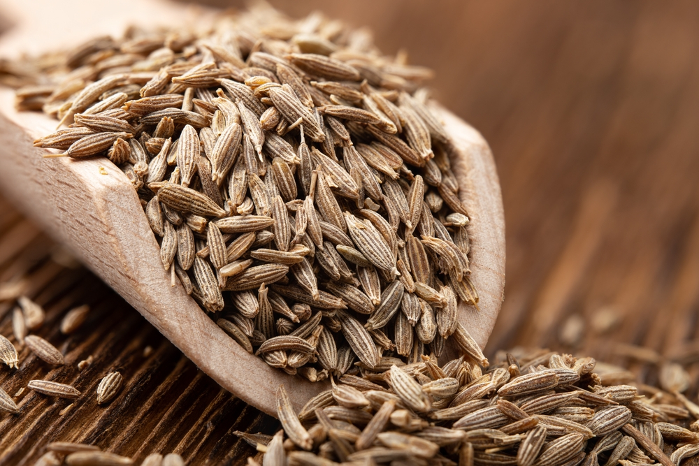 Dried zira cumin in a wooden scoop