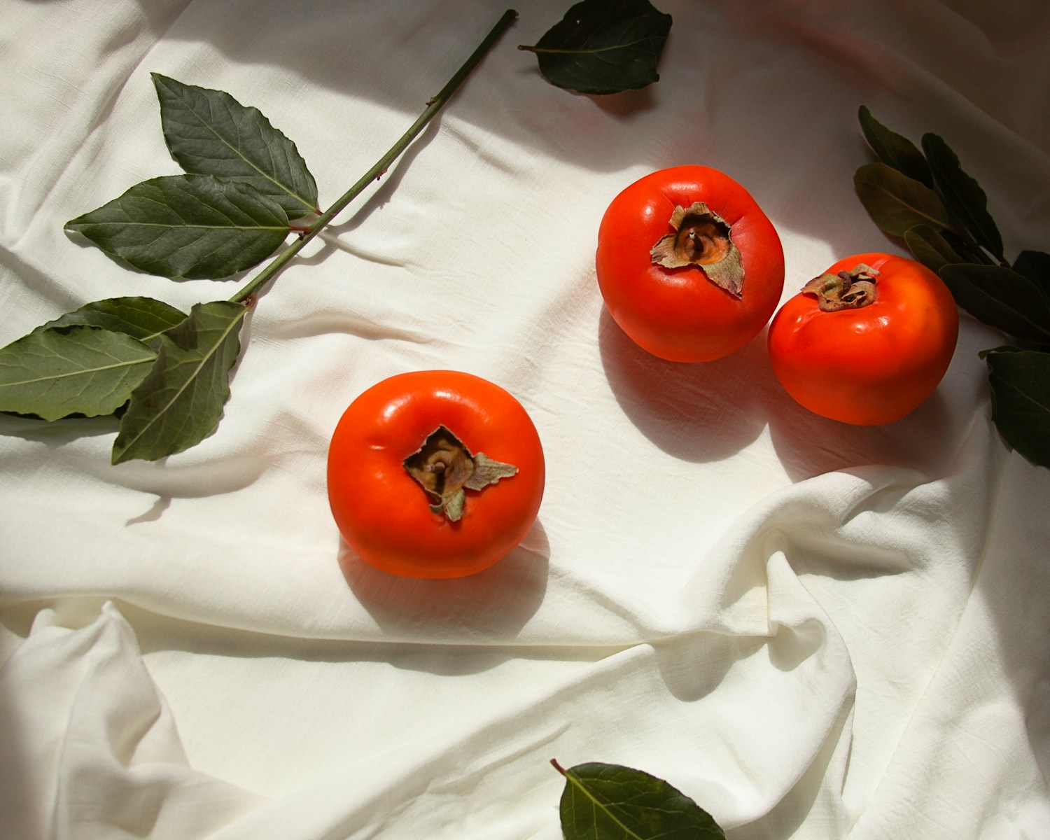 3 red Persimmon in white background