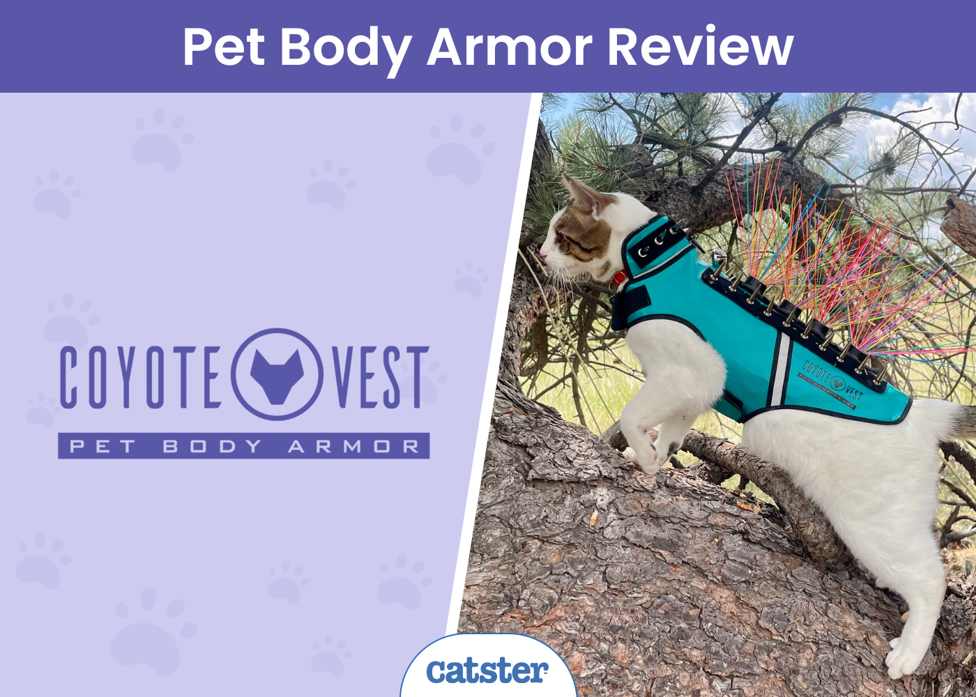 CAT_SAPR_Coyote Vest Pet Body Armor