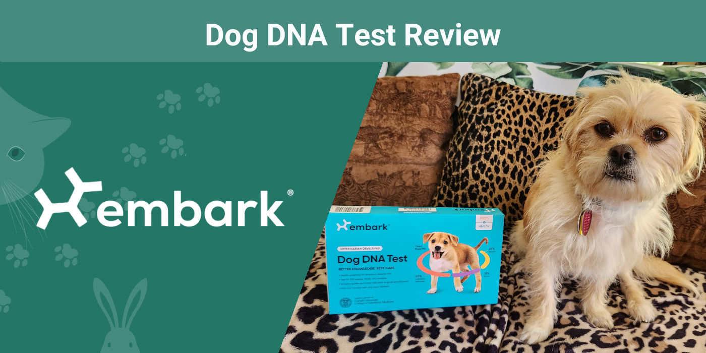 Embark Dog DNA Test