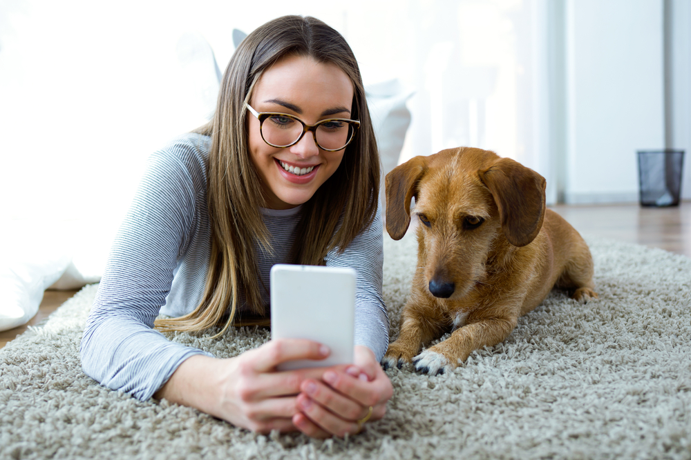 young woman using phone with her dog at home