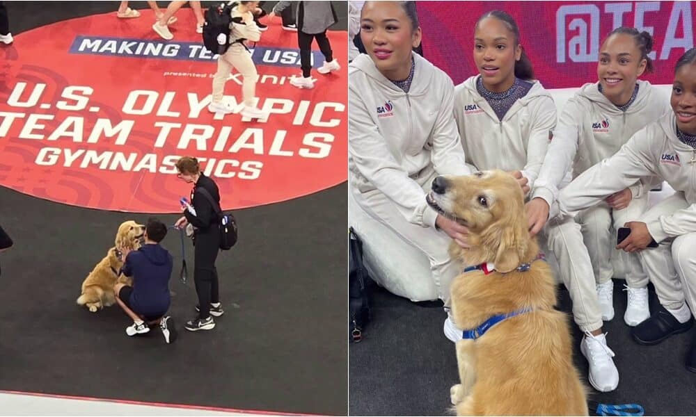 Meet Beacon, The Golden Retriever Who Provided Much Needed Comfort At The US Olympic Gymnastic Trials