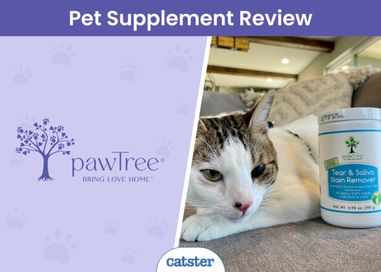 PawTree Pet Supplement