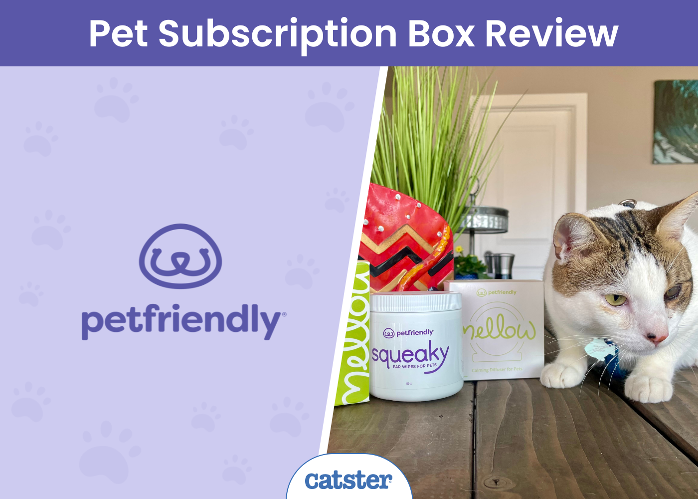 CAT_SAPR_PetFriendly Pet Subscription Box