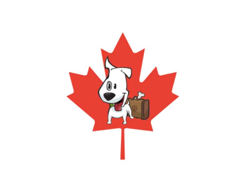 Characterchure of a white dog with bent ear on a red maple leaf background