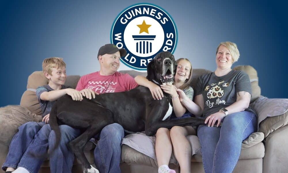 World's Tallest Dog Dies Just Days After Getting Guinness World Records Title