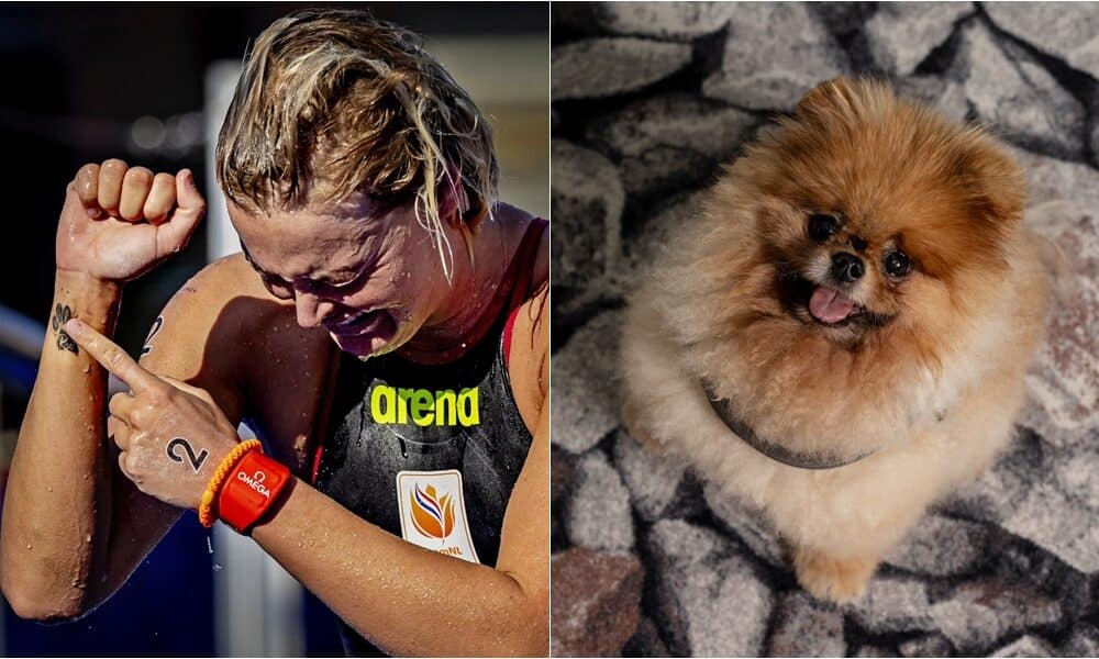 Dutch Swimmer Dedicates Olympic Gold To Late Pet Dog