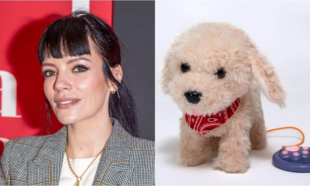 Lily Allen's Dog Revelation On Podcast Draws Backlash