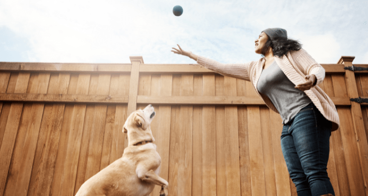 Teach Your Dog to Fetch