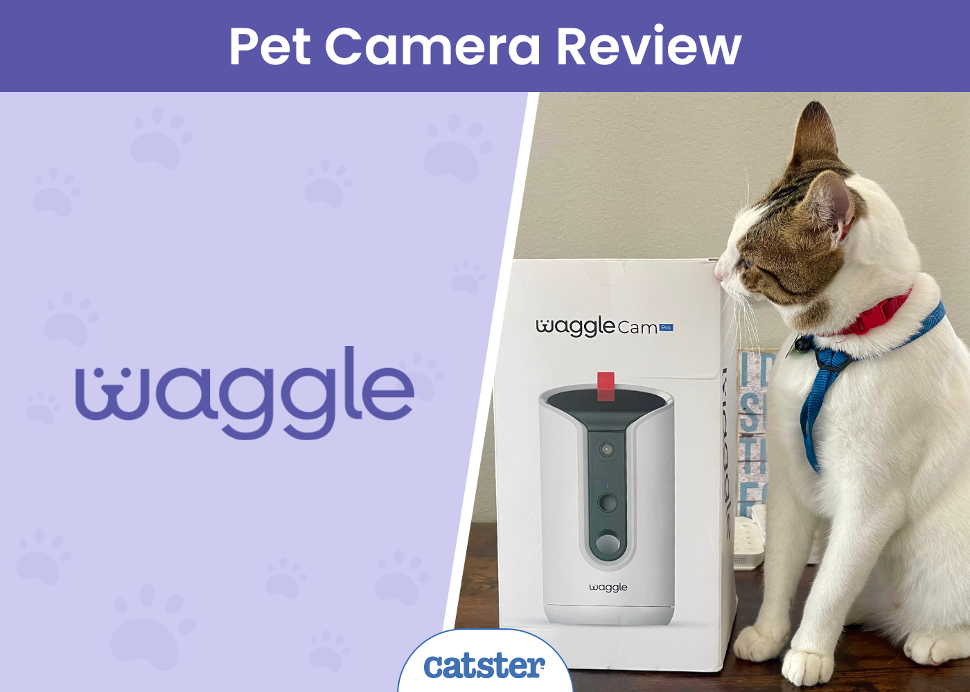 Waggle Pet Camera