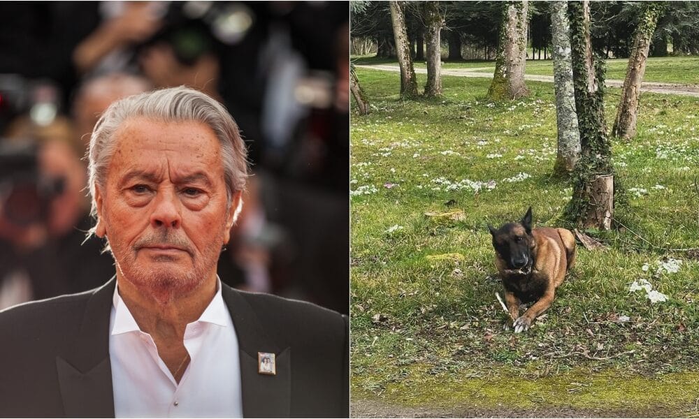 Alain Delon's Dog Spared From Being Put Down As Family Refuses Late Actor's Wish