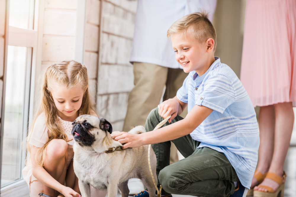 Children petting a pug dog with their parents in the background