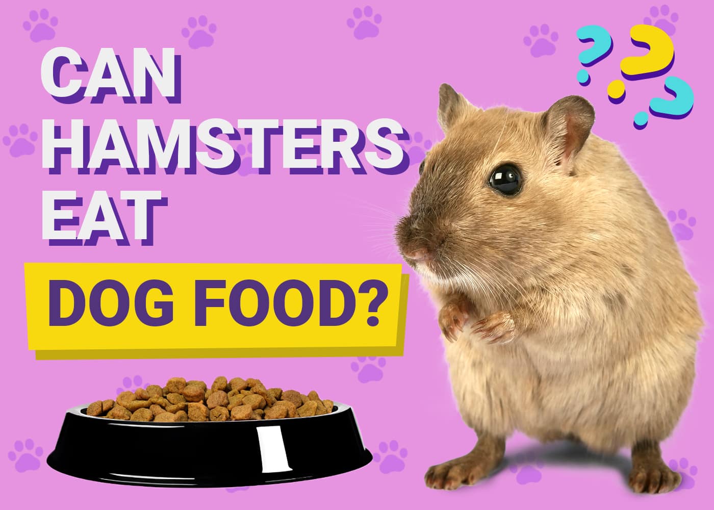 Picture of a Hamster wondering if it can eat dog food